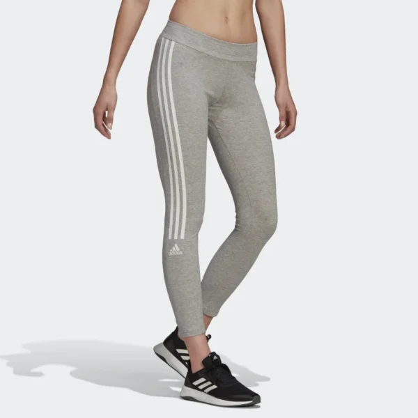 6aa17308208241069ccfadd80003bde5_9366